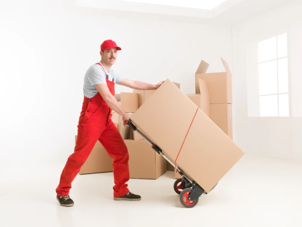 delivery service 2024 10 18 06 41 35 utc